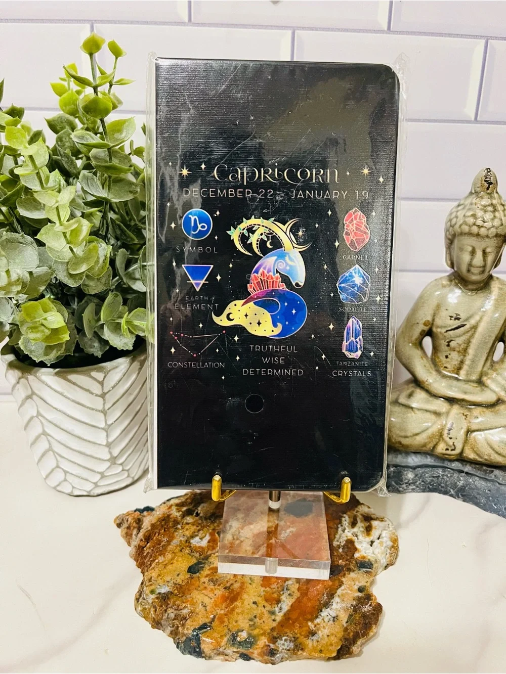 Capricorn Zodiac Journal